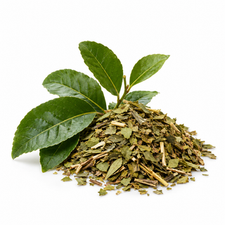 Maté